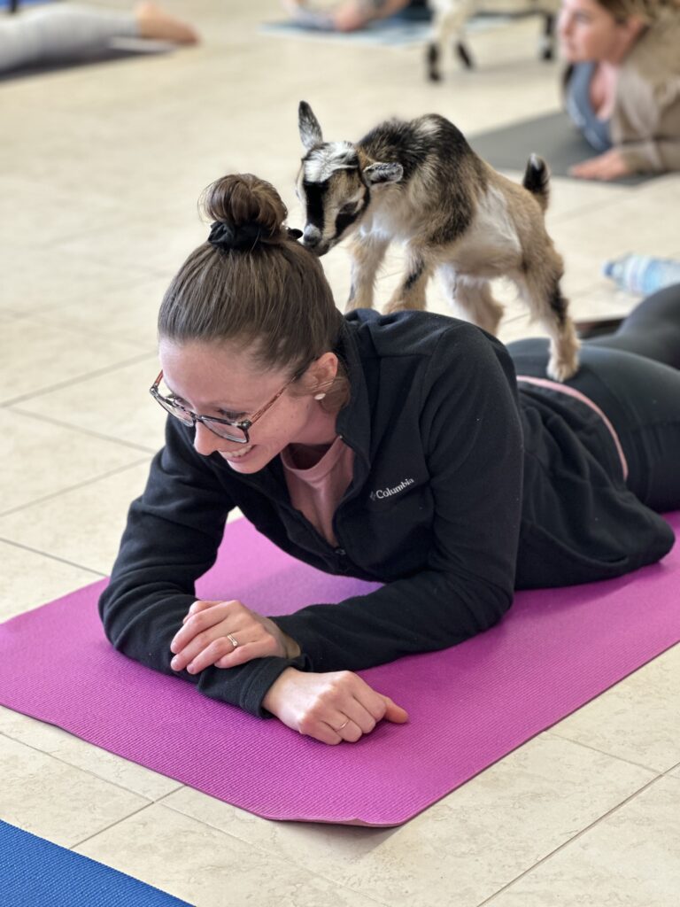 Goat Yoga