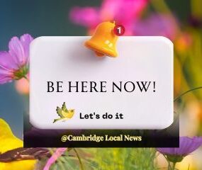 Cambridge Local News - Let's do it