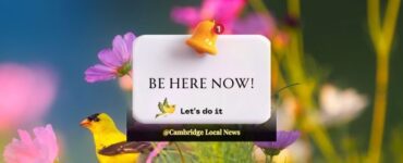 Cambridge Local News - Let's do it