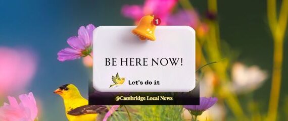 Cambridge Local News - Let's do it