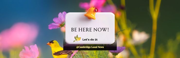 Cambridge Local News - Let's do it