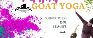Family Goat Yoga - Little Hobby Hill