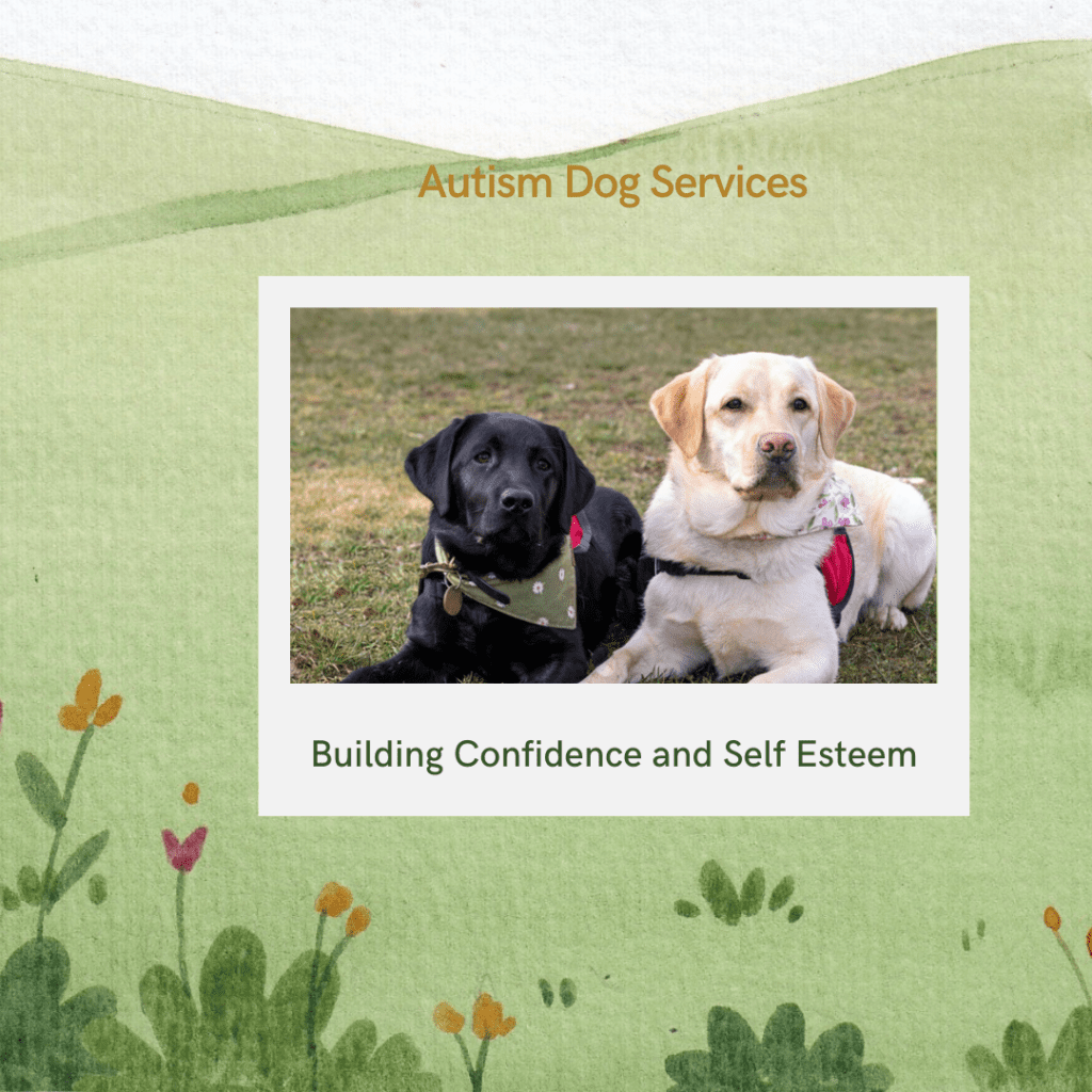 Autism Dog Services Safety, Companionship, Independence