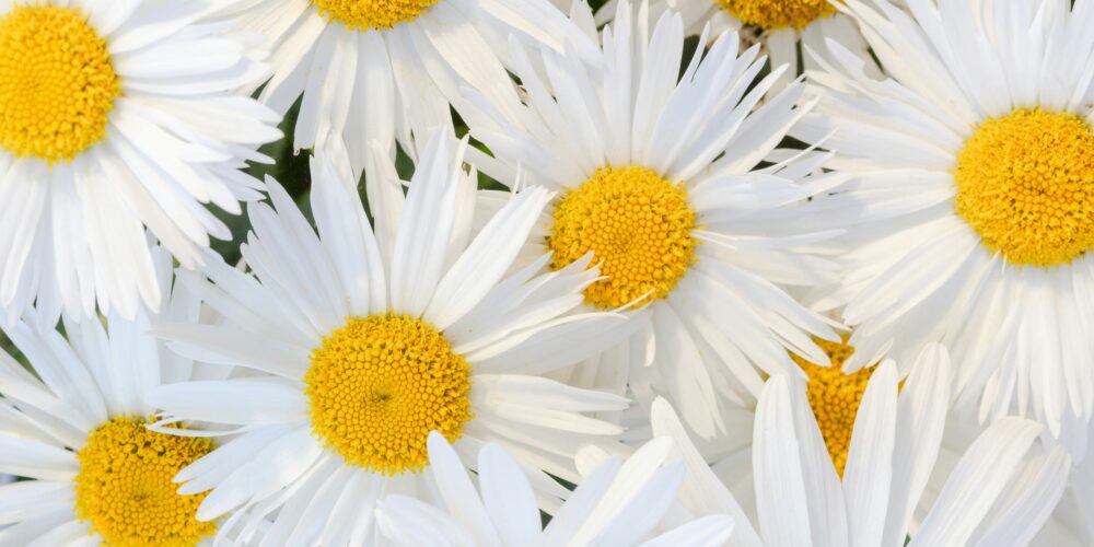 What Great Listeners Actually Do