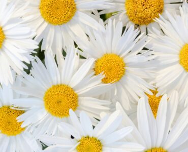 What Great Listeners Actually Do