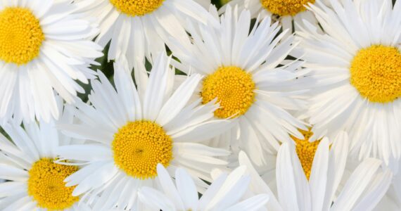 What Great Listeners Actually Do